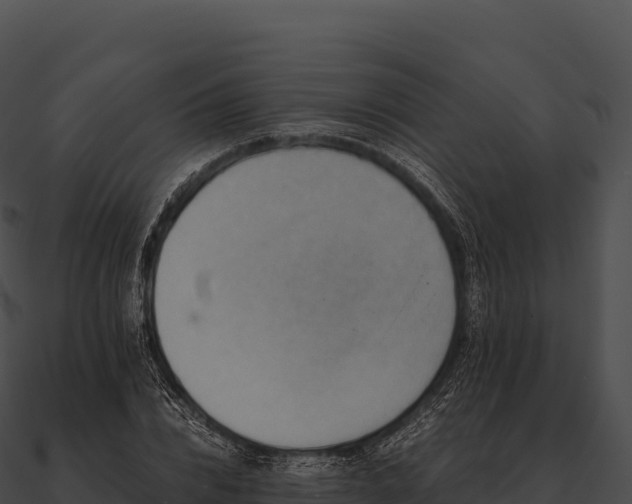X0000090880832200708031029
