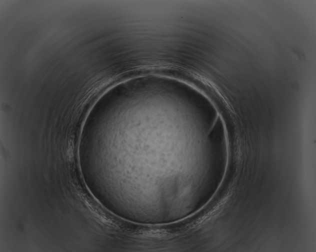 X0000090880833200708031029