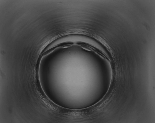 X0000090880834200708031029