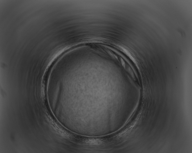 X0000090880835200708031029