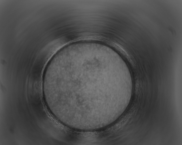 X0000090880836200708031029