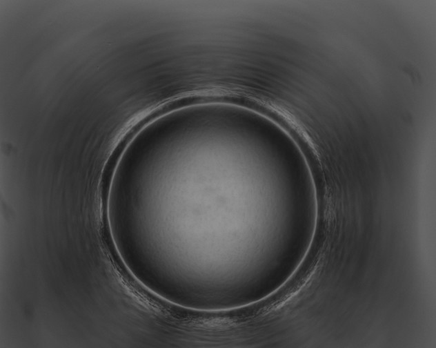 X0000090880837200708031029