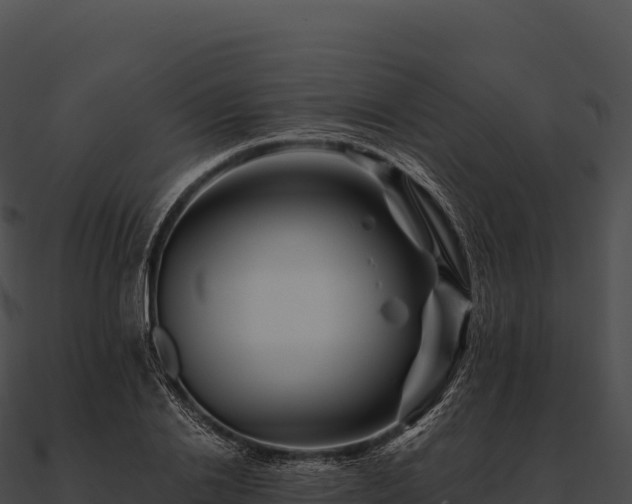 X0000090880838200708031029