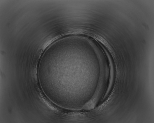 X0000090880842200708031029
