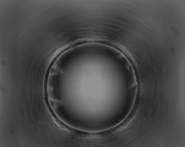 X0000090880845200708031029