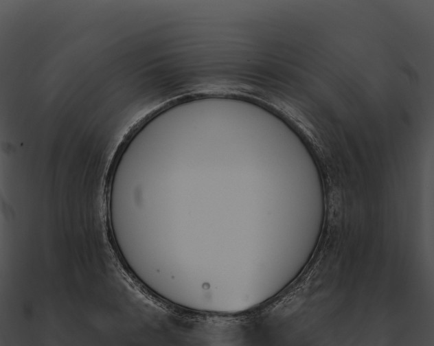 X0000090880848200708031029
