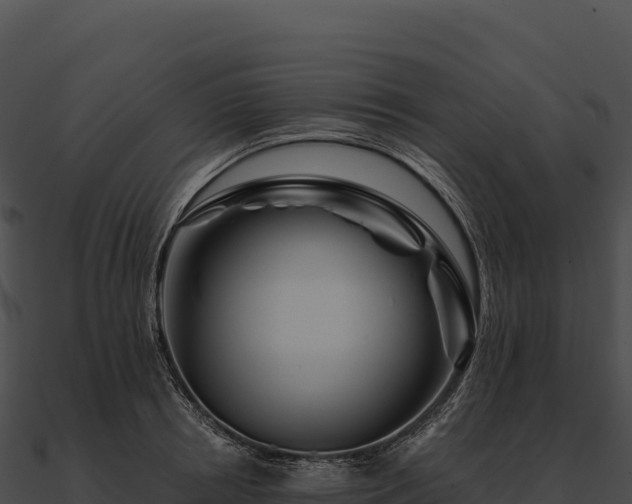 X0000090880850200708031029
