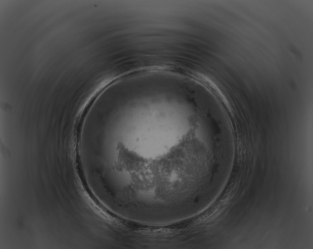 X0000090880851200708031029