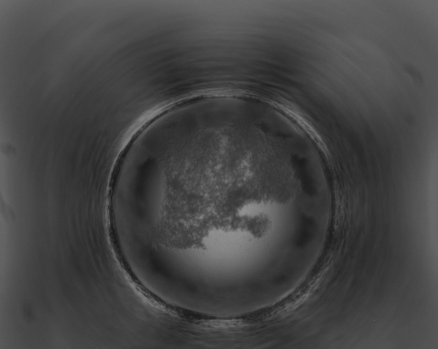 X0000090880853200708031029
