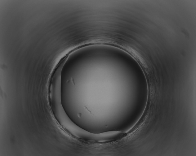 X0000090880854200708031029