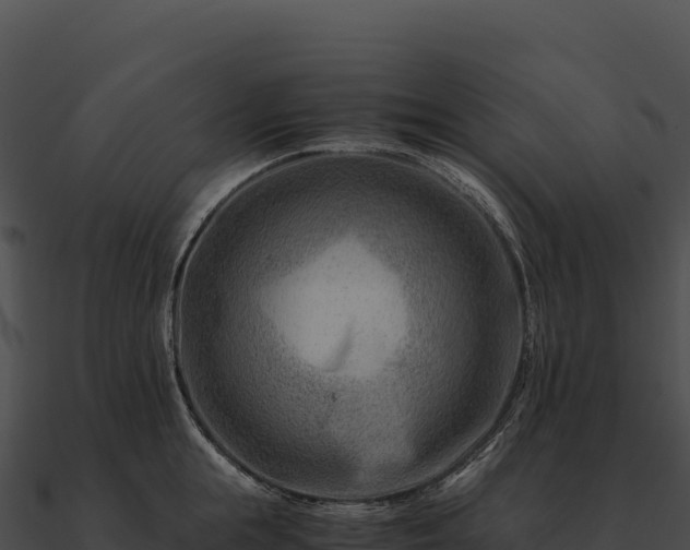 X0000090880855200708031029