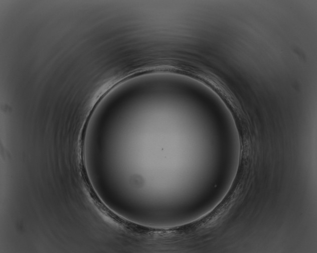 X0000090880858200708031030