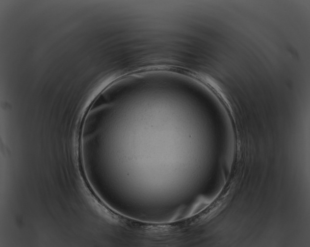 X0000090880859200708031030