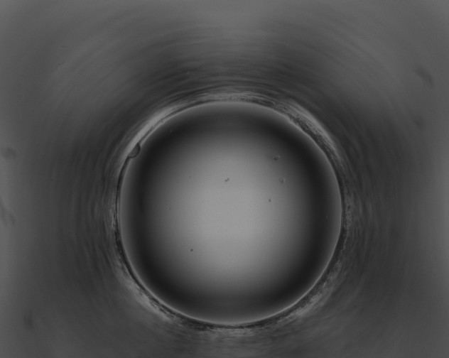 X0000090880860200708031030