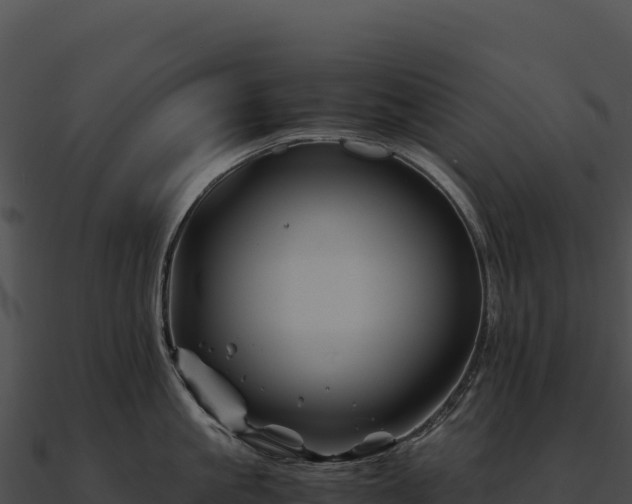 X0000090880861200708031030