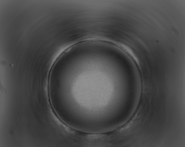 X0000090880863200708031030