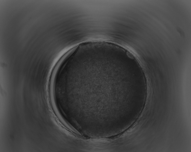 X0000090880864200708031030