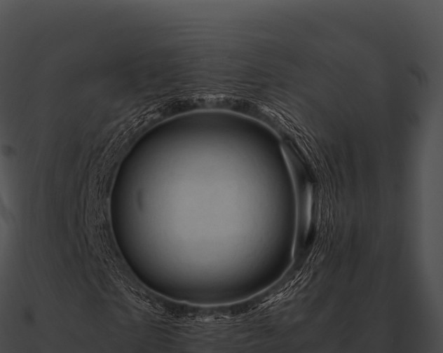 X0000090880865200708031029
