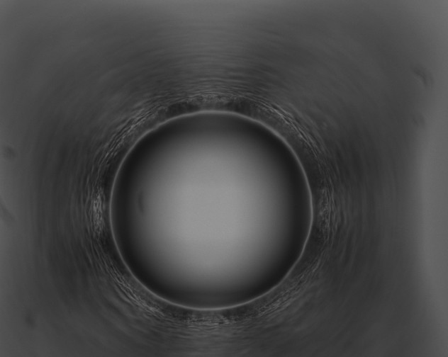 X0000090880866200708031029