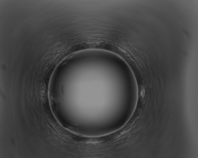 X0000090880867200708031029