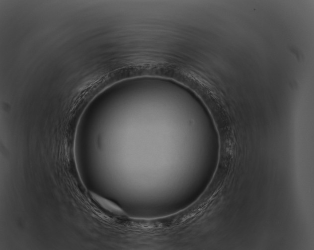 X0000090880869200708031029