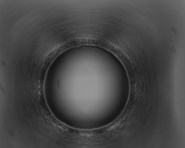 X0000090880870200708031029