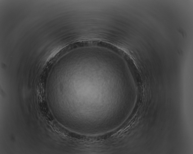 X0000090880871200708031029