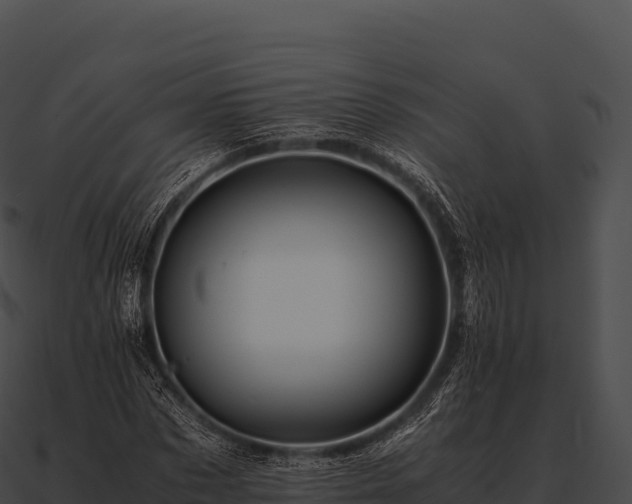 X0000090880873200708031029
