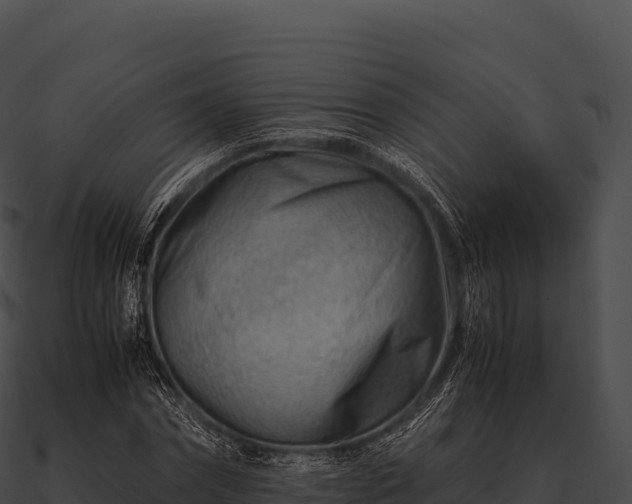 X0000090880874200708031029