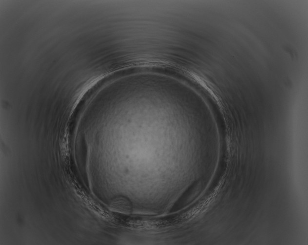 X0000090880875200708031029
