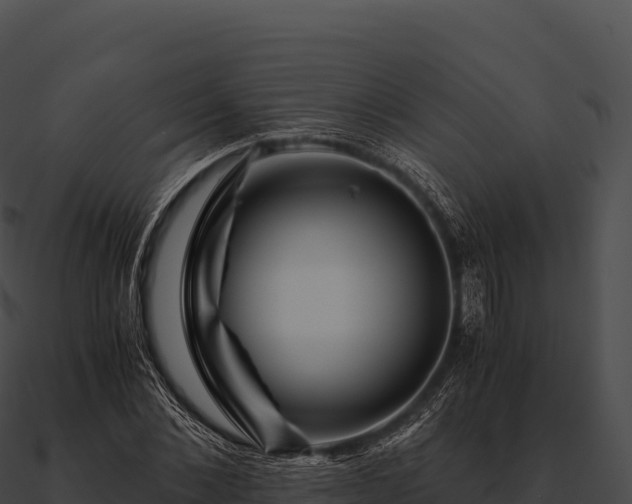 X0000090880876200708031029