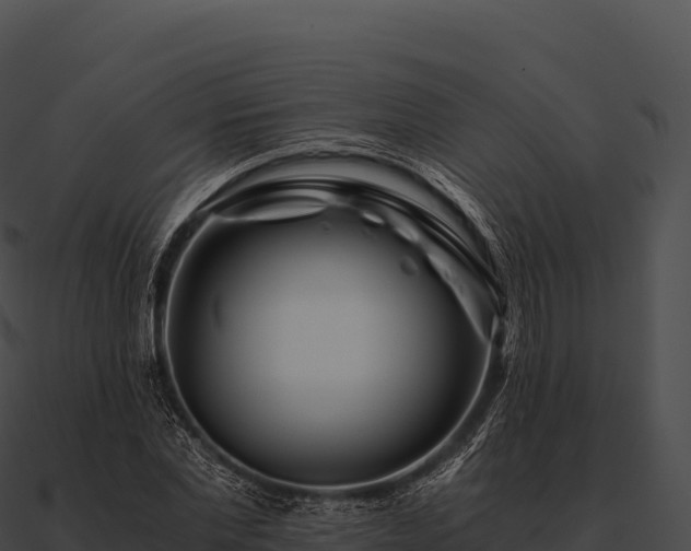 X0000090880877200708031029