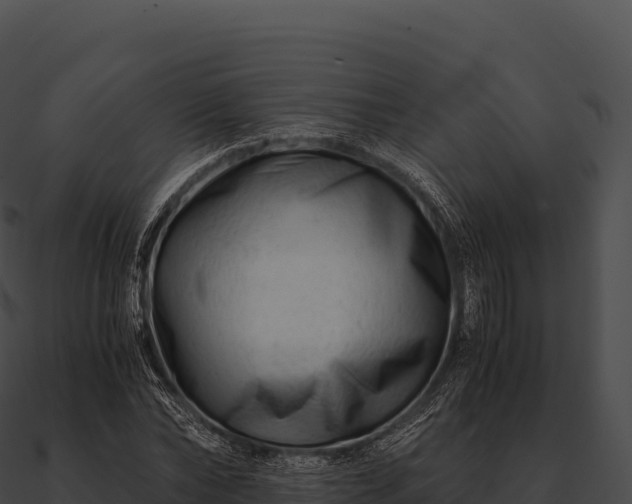 X0000090880878200708031029
