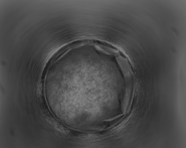 X0000090880879200708031029