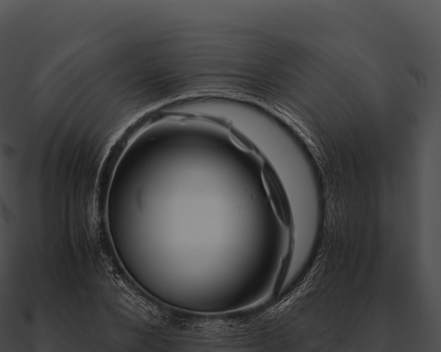 X0000090880880200708031029