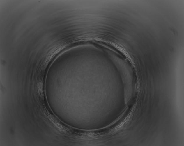 X0000090880881200708031029