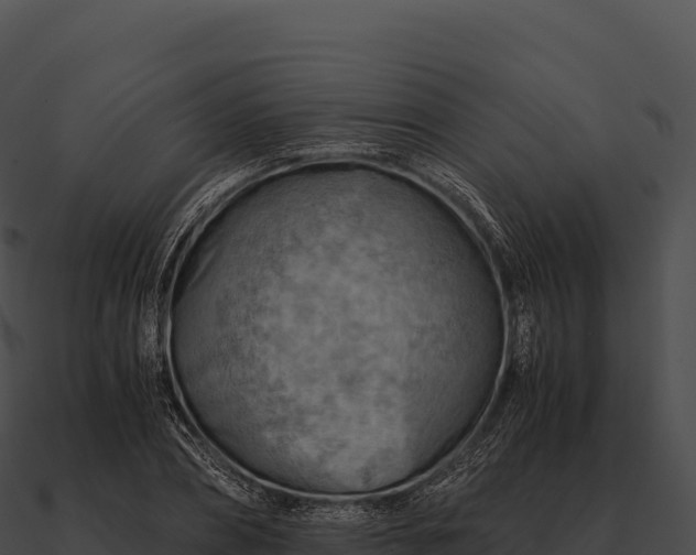 X0000090880882200708031029