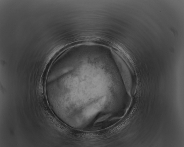 X0000090880883200708031029