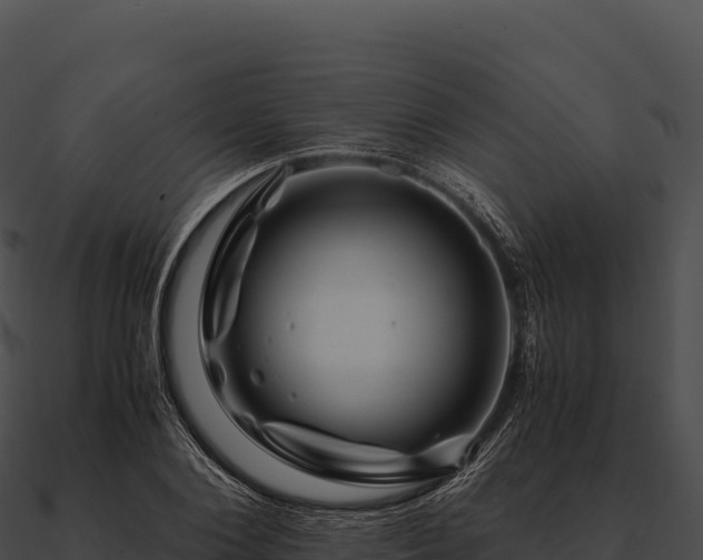 X0000090880884200708031029
