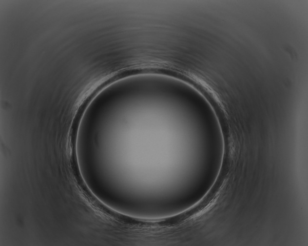 X0000090880885200708031029