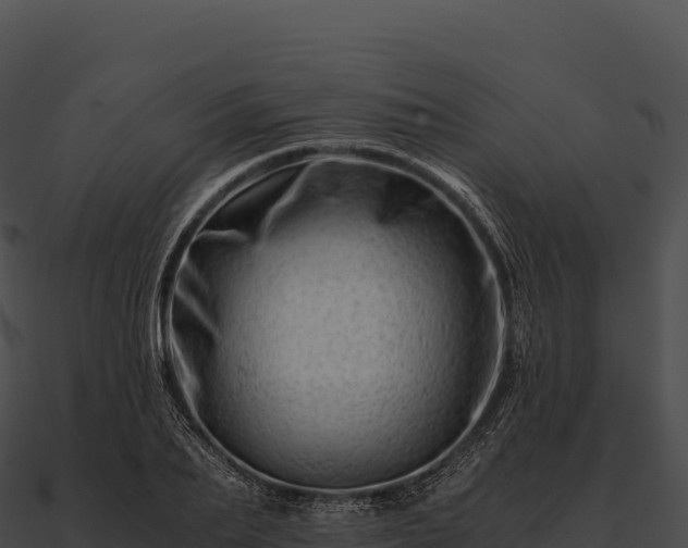 X0000090880887200708031029
