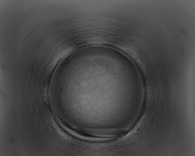 X0000090880889200708031029