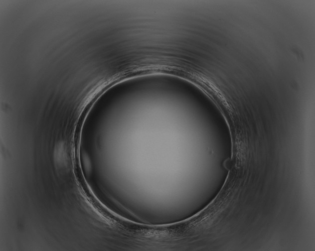 X0000090880890200708031029