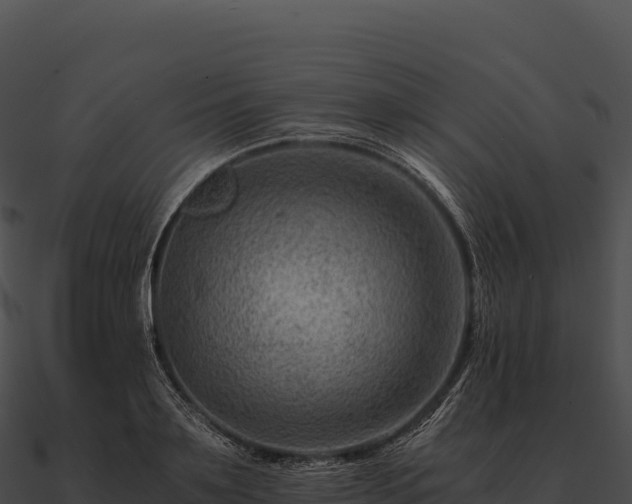 X0000090880891200708031029