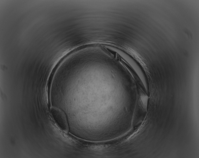 X0000090880892200708031029