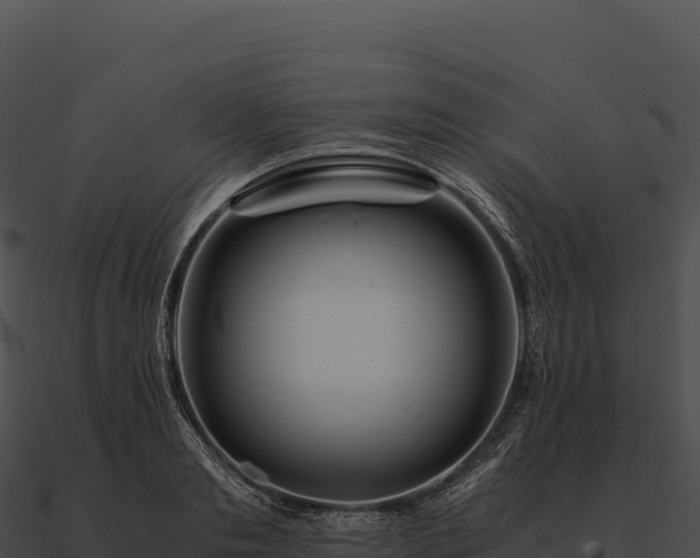 X0000090880893200708031029