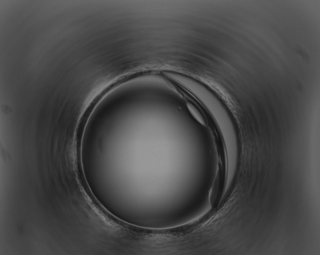 X0000090880894200708031029