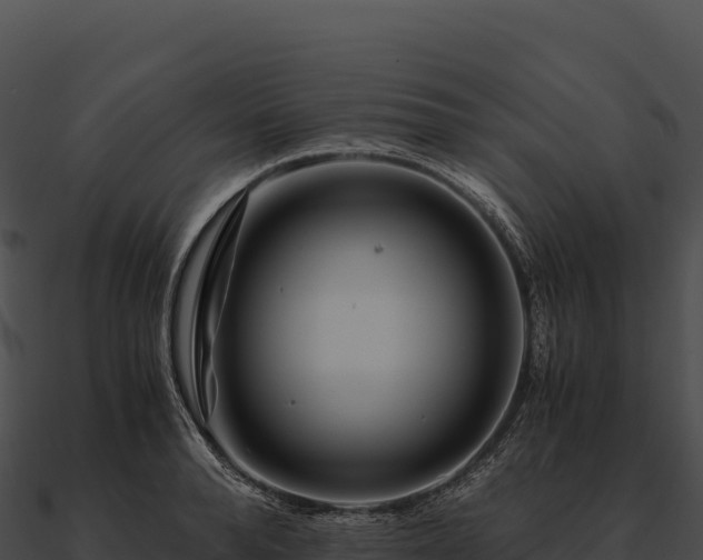 X0000090880896200708031029