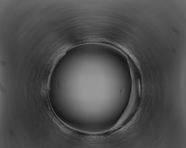 X0000090880897200708031029
