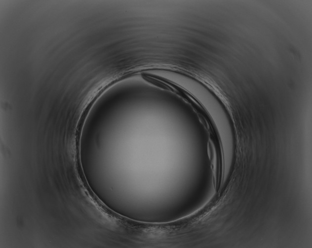 X0000090880898200708031029